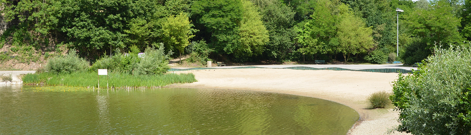 Plages de sable et d'herbe sur le site le Watissart