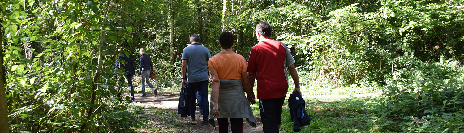 Adultes randonnant sur le sentier pédestre du site plein air Watissart